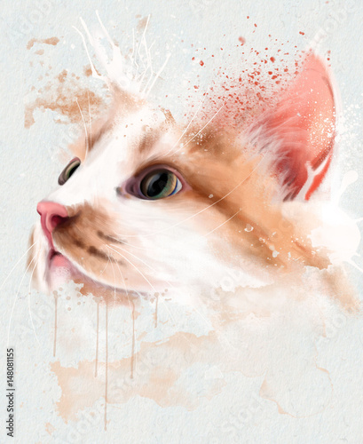 Watercolor animals. Watercolor portrait of a red-and-white cat in profile, closeup on white background