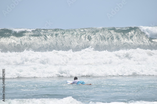surf 
