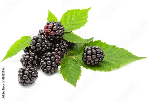 blackberries isolated on white