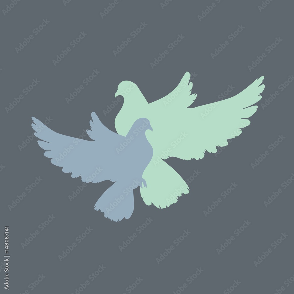 Obraz premium голубь