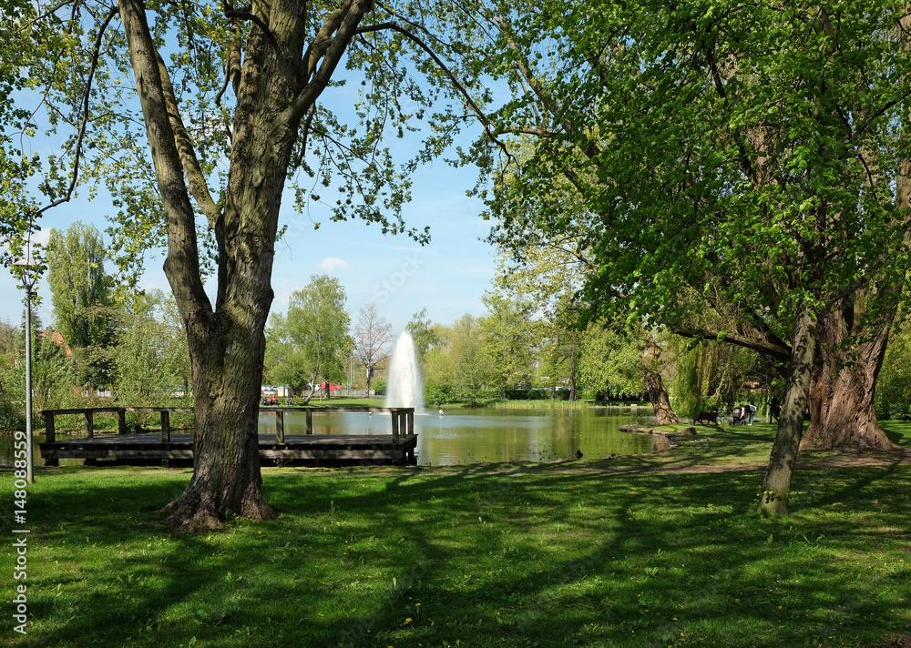 Fototapeta premium Bleichweiher in Neustadt an der Aisch