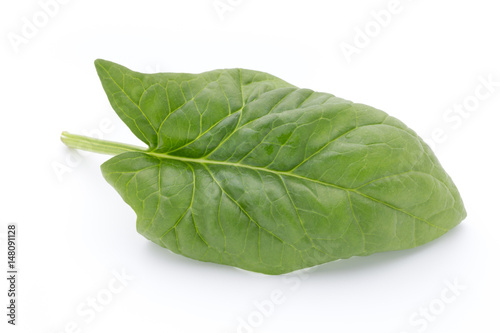 Fresh leaves of spinach on the white background.