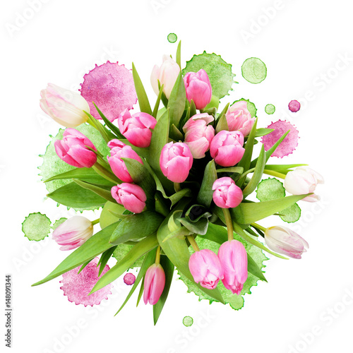 Pink and white tulip flower...