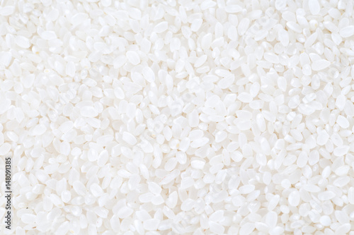 japanese rice, short grain rice photo