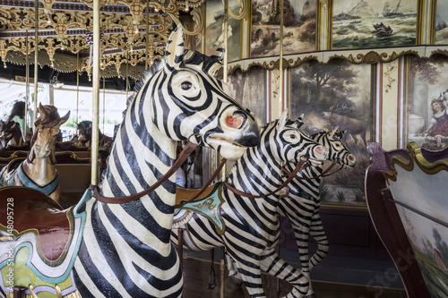 Vintage restored carousel hand carved wooden zebras on a merry go round ride © SBrian