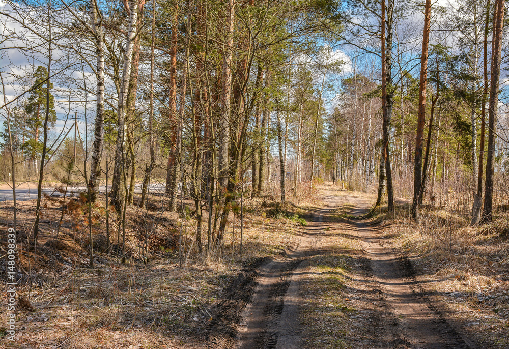 Obraz premium Sunny April day