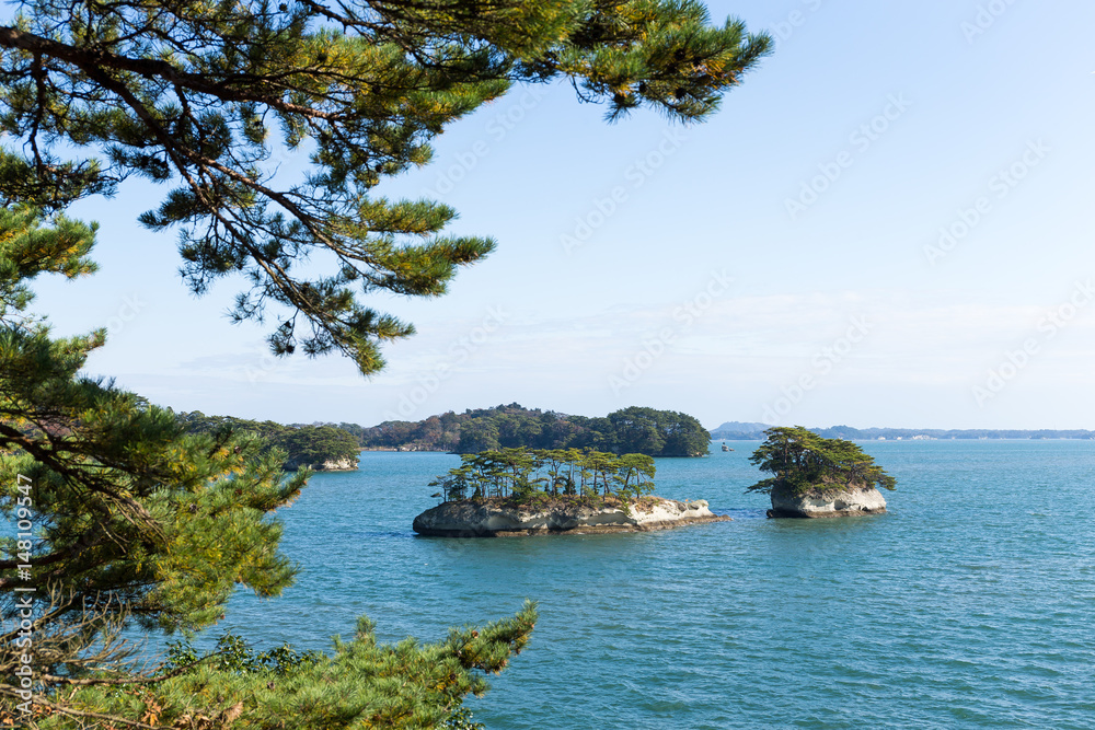 Japanese Matsushima with sunshine