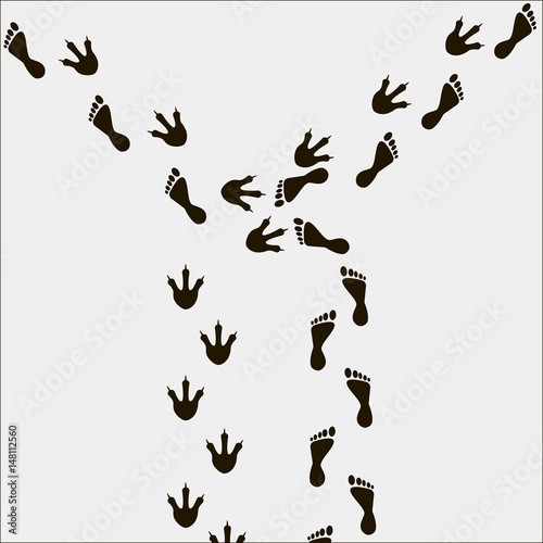 Black footprints of man and dinosaur on white background