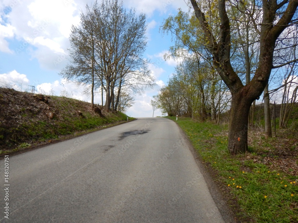 asphalt road in a czech countryside