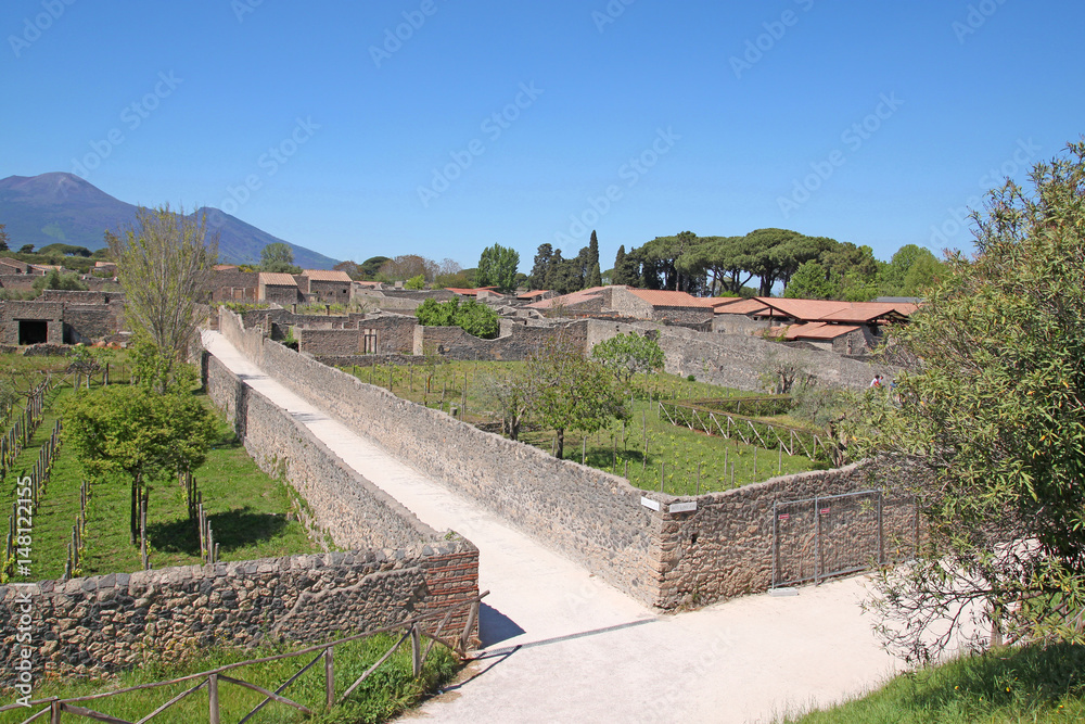  Pompei the ancient town destroyed by the vesuvio volcano.