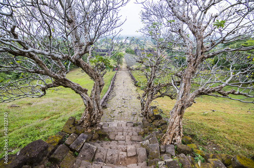 Ancient stone road covered with dry scary looking tree tunnel in Vat Phou (or Wat Phu) - Khmer Hindu temple complex in Champasak Province, southern Laos