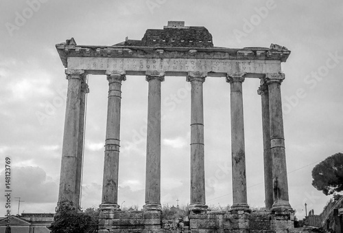 Forum Romanum columns © Rik
