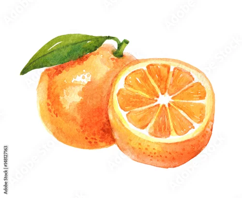 Naklejka na ścianę Pomarańczowa owoc z liściem, akwareli ilustracja