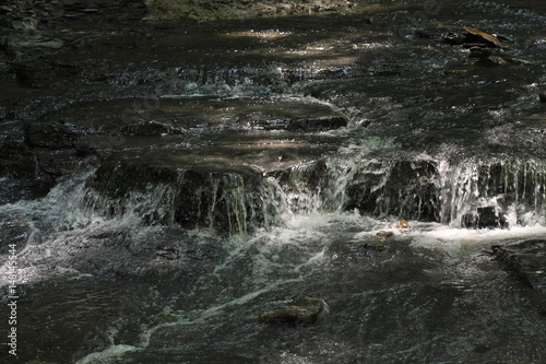 Creek - Onanda Park and Barnes Creek Gully - Canandaigua 19