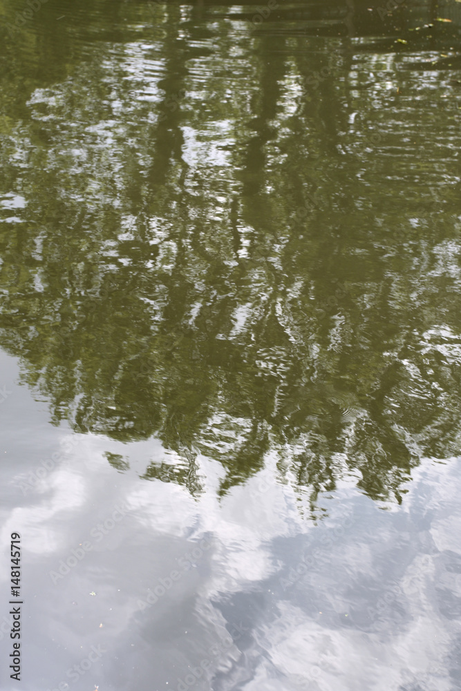 Reflection in water Reflection in water