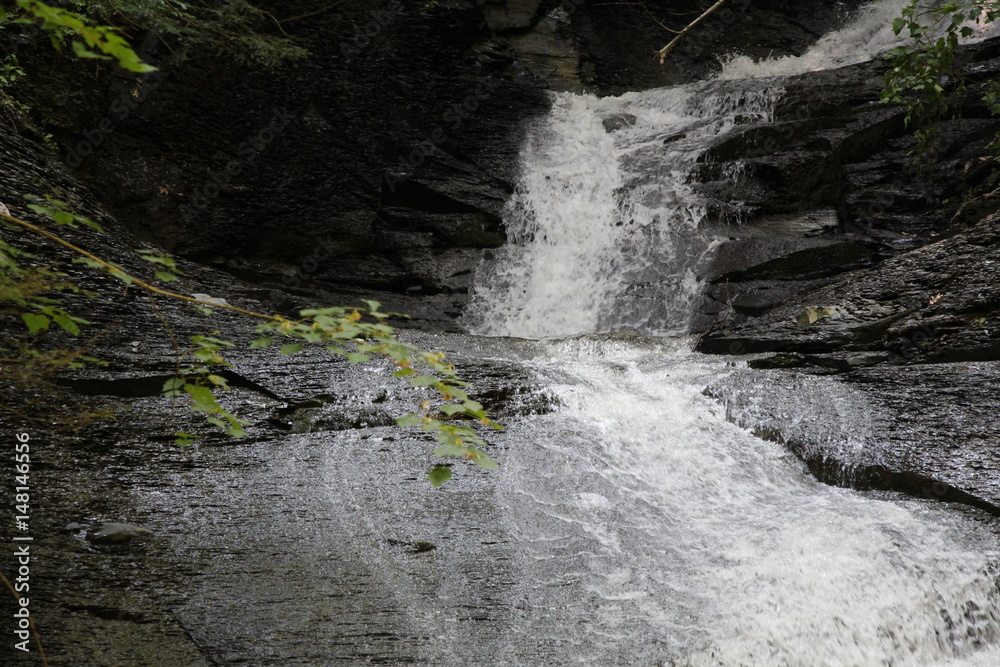Fototapeta premium Waterfall - Onanda Park and Barnes Creek Gully - Canandaigua 6