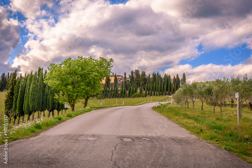 A road near the town of Radda in the Chianti wine area in spring