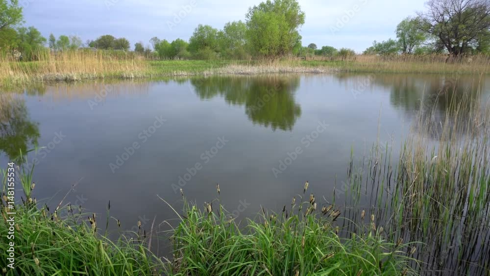 Small lake in springtime