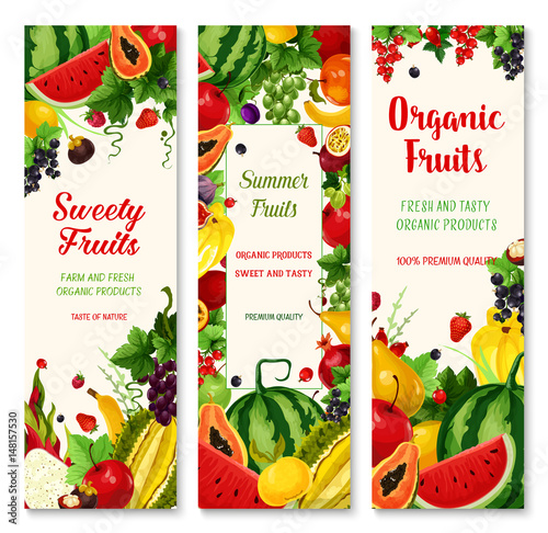 Summer fruit and berry banner set for food design