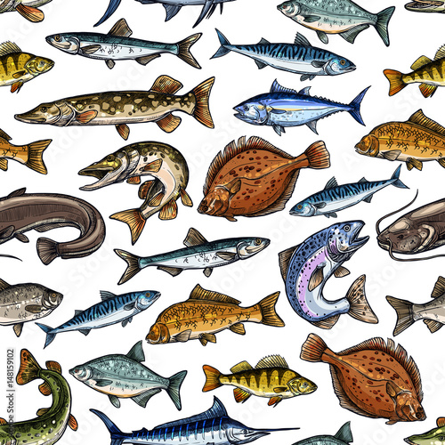 Fish seamless pattern for seafood design
