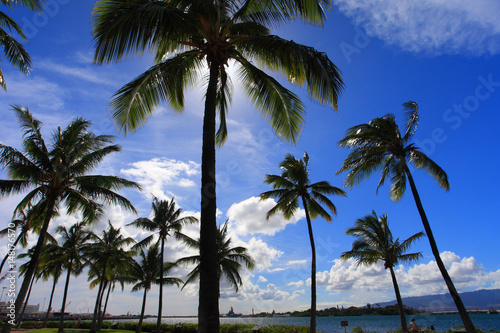 ハワイ　リゾートビーチ © EarthScape