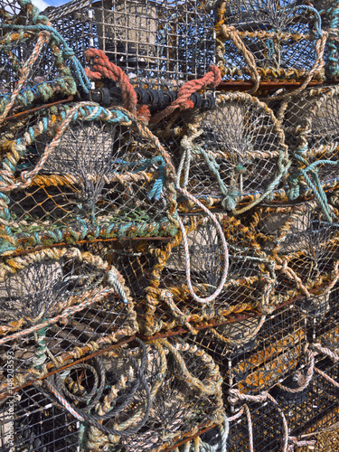 lobster nets © Tim Bird