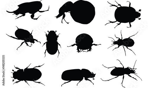 Dung beetle Silhouette vector illustration