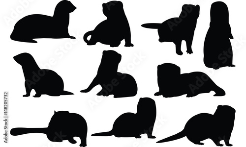 Ferret Silhouette vector illustration