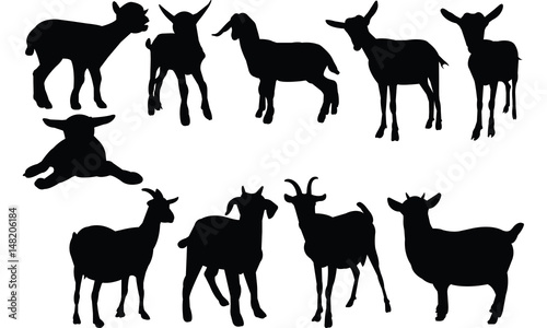 Goat Silhouette vector illustration