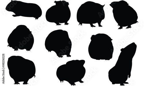 Guinea pig Silhouette vector illustration