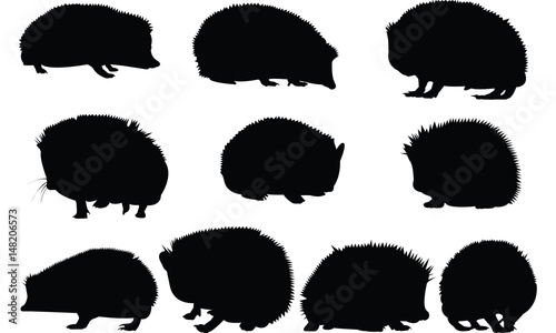 Hedgehog Silhouette vector illustration