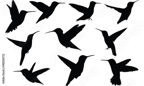 Humming bird Silhouette vector illustration