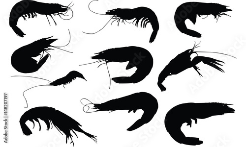 Krill Silhouette vector illustration