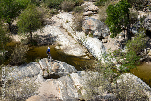 Hiker along Sabino Creek in Sabino Canyon, near Tucson, Arizona photo