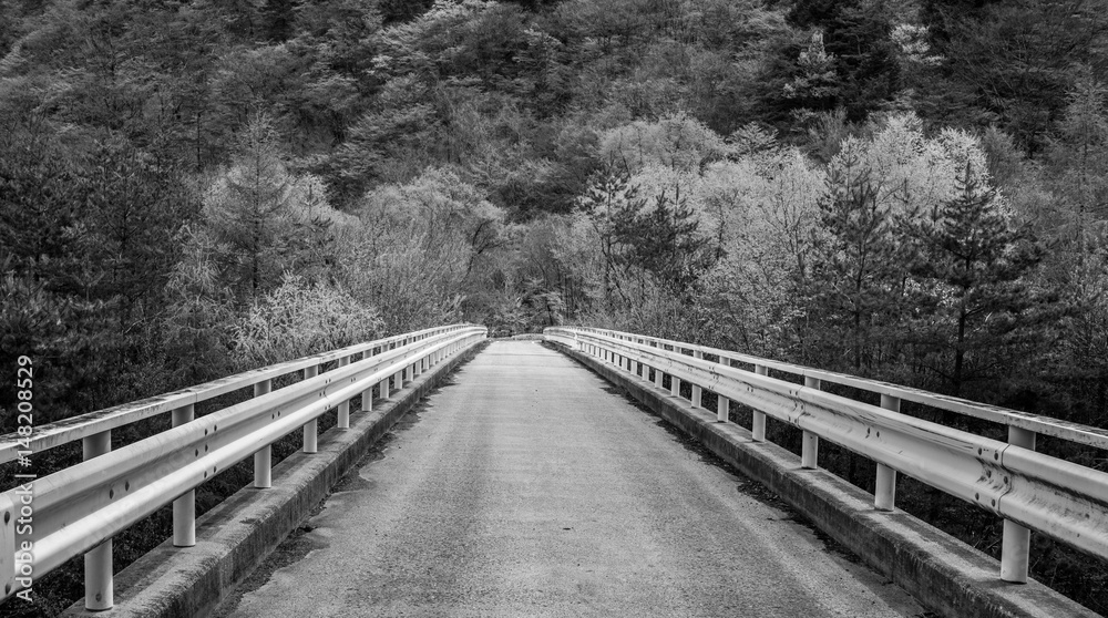 Fototapeta premium Ponte no Preto branco