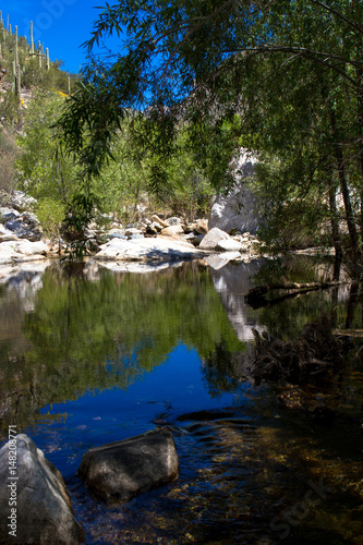 Reflections and deciduous trees along Sabino Creek in Sabino Canyon, near Tucson, Arizona