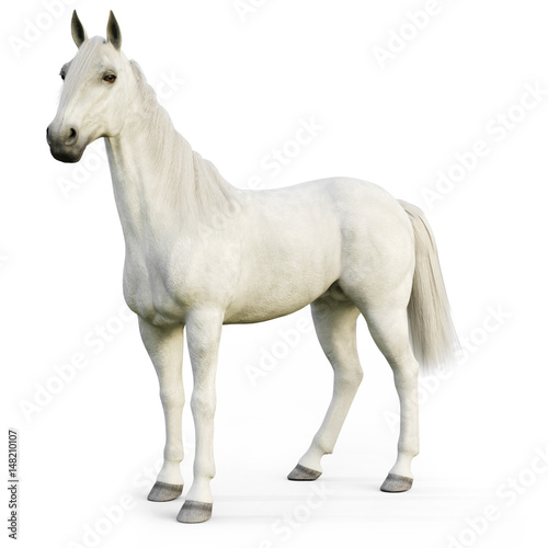 White stallion horse on an isolated white background. 3d rendering