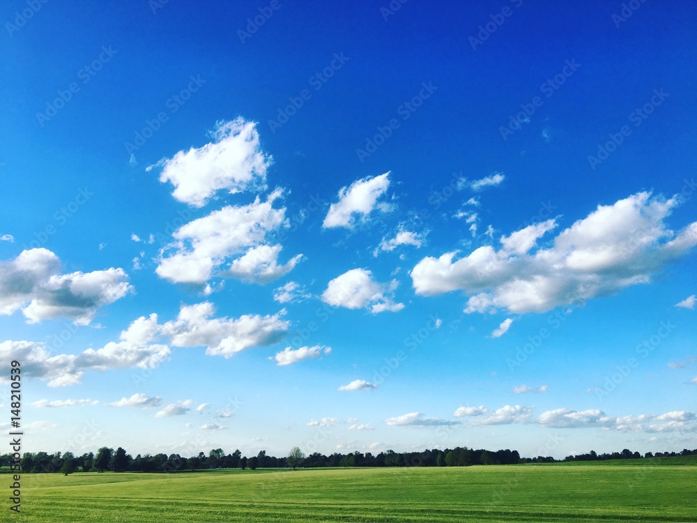sunny day sunny day