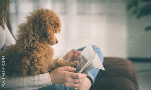 Fototapeta Naklejka Na Ścianę i Meble -  Young girl with puppy sit on sofa using digital tablet.