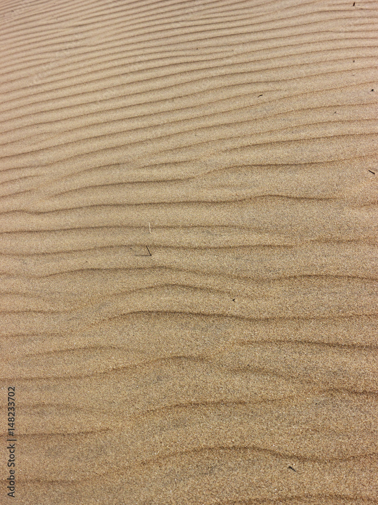 Rippled sand Rippled sand