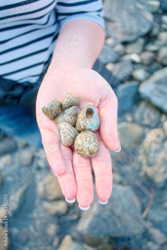 Fotografie Different cockleshell in woman hand