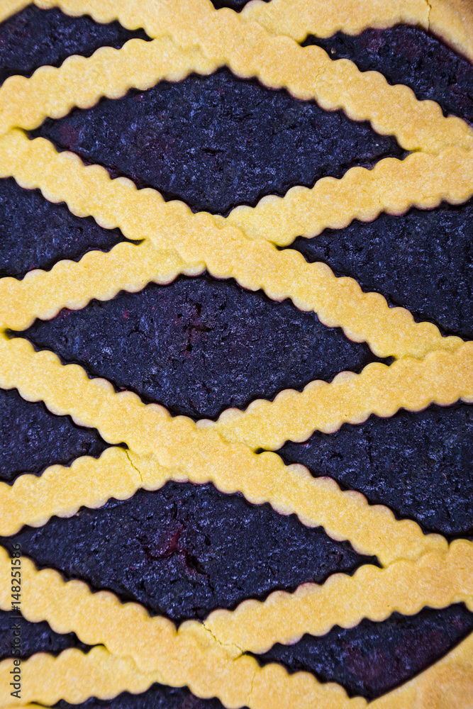 Blueberry cake close-up.