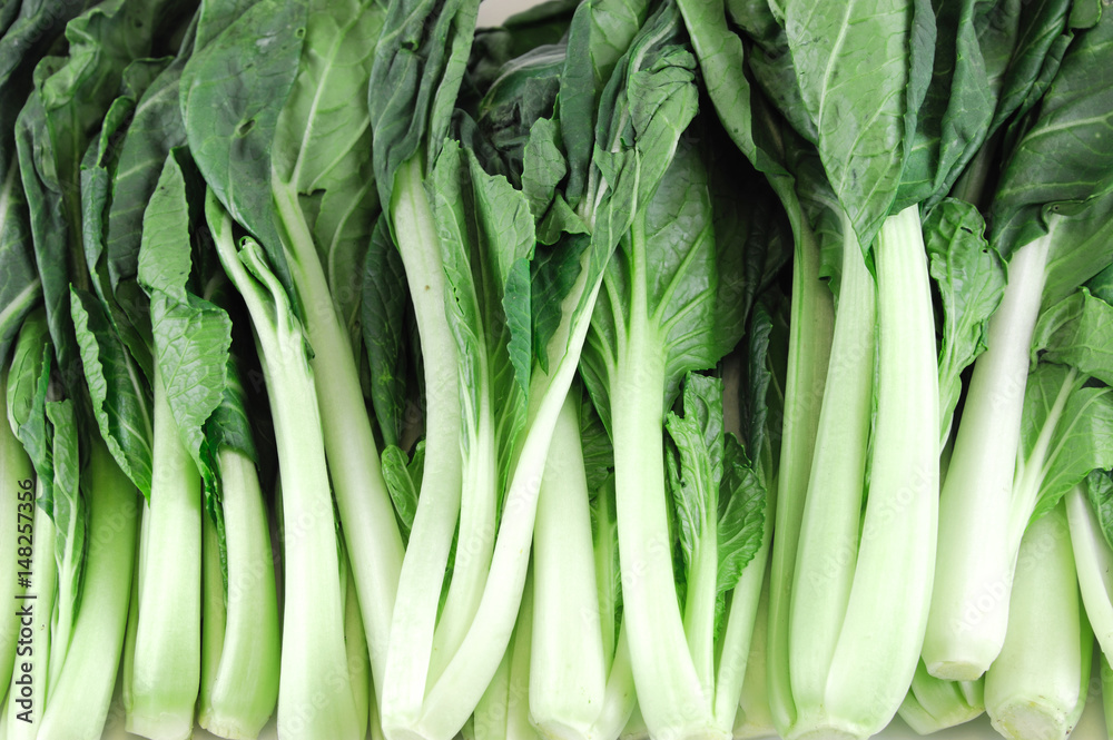 close up on fresh vegetable cabbage background close up on fresh vegetable cabbage background