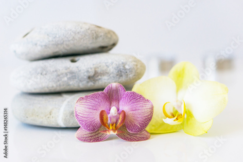 Fresh pink and yellow orchid near gray stones on a white background. Concept spa and relaxation.