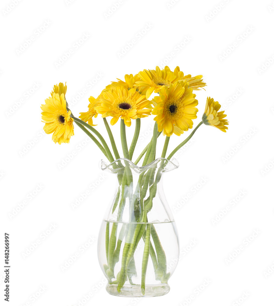 Yellow gerbera flower in a glass vase on the white background
