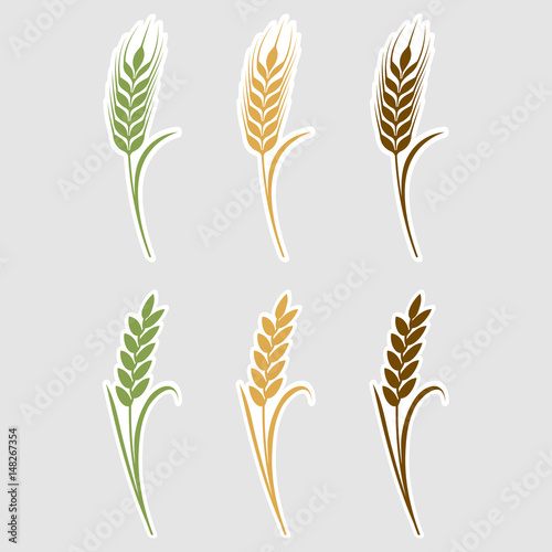 Paper art cut stickers Ears of wheat. Vector illustration icons