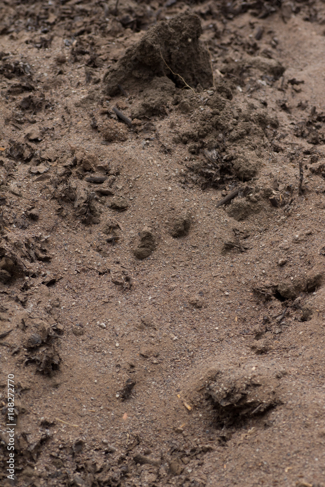 Soft soil Soft soil