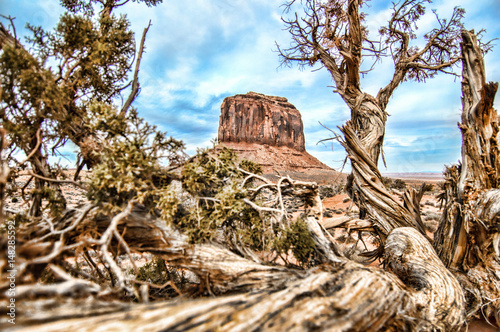 Merrick Butte & Juniper Tree photo