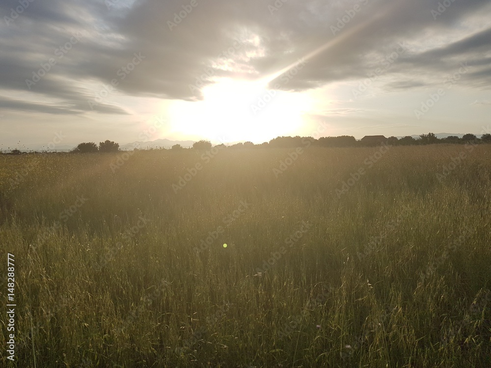 Obraz premium Sunfall