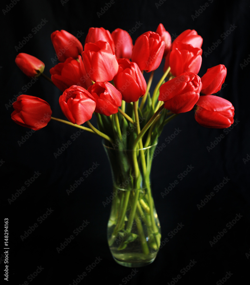 Bouquet of red tulips on black background